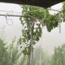 승일농장 이미지