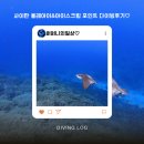 해피다이버스 | 사이판 올레아이&아이스크림 다이빙포인트 후기