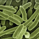 염산부인과의원 이미지