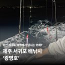 쇠소깍로 | 제주도 배낚시 광명호, 왕초보의 무늬오징어 낚시 후기
