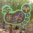 금강솔바람길 이미지