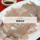 안성동인병원 | 안성 현지인 강력 추천! 안성수산(동인포차) 회 맛집 후기