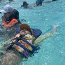 용인대한빛태권도 이미지