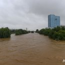 오산-청학-청학-9 이미지