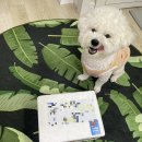 테리네간식 이미지