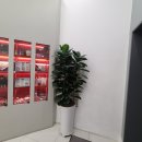 네일아트&속눈썹익스텐션 이미지