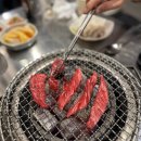 뒷고기한우 | 고기질 좋은 부산시청 김해한우뒷고기(한우 뒷고기 후기)