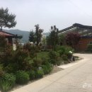 축사농장 이미지