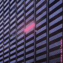 김뮤지엄 카카오 검색결과