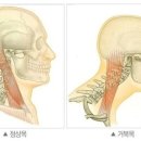 서울바른마취통증의학과 이미지