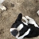 덕현목장 이미지