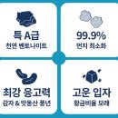 안녕고양이 이미지