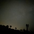 비비큐 금정제일공원점 | [LA] LA조슈아국립공원투어, 여구가 조슈아트리 별멍투어 내돈내산후기 LA여행 6월LA여행