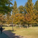 용인-구갈-구갈3 이미지