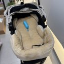 토토미용실 | 강아지 유모차 낫쏘빅 토토/이드몽 유모차 쿠션 내돈내산 후기