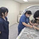 호남동물병원 이미지