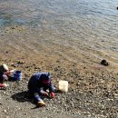 거류초등학교 이미지