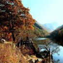 주산지 이미지