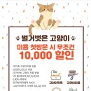 벌거벗은 고양이 이미지