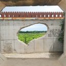 오알카페 | 제주 투어패스 카페 (오알/서귀피안베이커리/드르쿰다 성산 상효 애월)