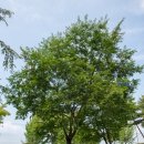 경북 여행 코스 산운 생태공원과 빙계 계곡, 반려견 캠핑장 등 의성 가볼만한곳 베스트 5