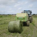 해남군-03 이미지