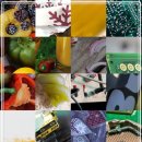 신비모터스 이미지