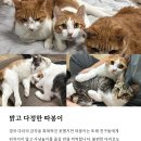 따봉