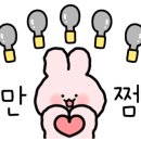 리꼬비101 이미지