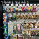 야옹아 멍멍해봐(목천점) | [천안/분양샵] 야옹아멍멍해봐 목천점 위생 관리가 잘 되어 믿음이 갔던 이유