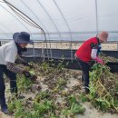 서부여농업협동조합 이미지