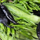 시골분식식당 이미지