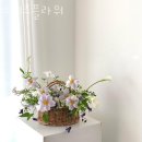 소네츠