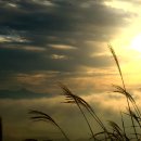 국악향기 그 자리에 이미지