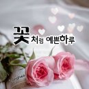 [2023년 5월 12일(음: 3월 23일)일출 5시 27분.일몰19시 30분].‘제21회 광안리어방축제’ 이미지