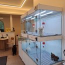 베베독 강아지분양 대구본점 이미지