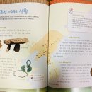 비파전집 이미지