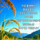 연인의소리님 이미지