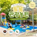 순천 청소골 계곡에서 닭구이 먹고 물놀이까지! 아이와 가기 좋은 들물관광농원 솔직후기