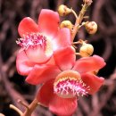 &#34;2025年 韓國産業의 顧客滿足度 調査&#34;. 이미지