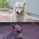 한다리농장 이미지