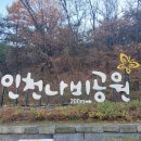 부평숲 인천나비공원 전시실 | 부평숲 인천 나비공원 전시실 자연생태공원 이용 시간 안내 주차장 알아보기