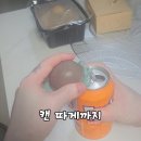 병도 | 🐢 귀여움 + 실용성 끝판왕! 3in1 병따개 솔직 후기