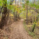 상시동1리 이미지