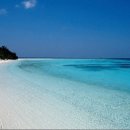 높은음자리 이미지