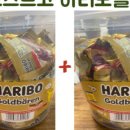 코코지노
