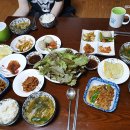 달성보약산민박 이미지