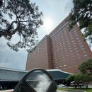 호텔호사 | 신라호텔 서울 디럭스 호캉스 배달 정보