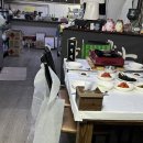 돈이좋아 - 고양시 덕양구 지도로42번길 5 | 제천 맛집 돈이좋아 방문 후기