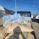 농업기술센터 농기계임대사업소 | 콩 선별하기 메주콩 선별 메주콩 선별방법 농업기술센터 콩 선별하는 방법 농기계임대사업소